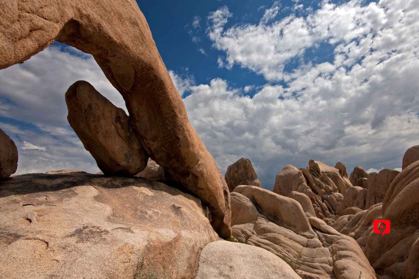 Joshua Tree: Discover Desert Beauty on a Scenic Drive Tour thumbnail